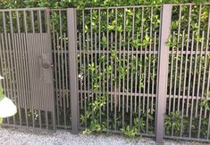 an iron fence with green plants growing on it and a lamp in the foreground