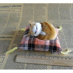 a small hamster is sitting on top of a pillow that has been placed on the newspaper