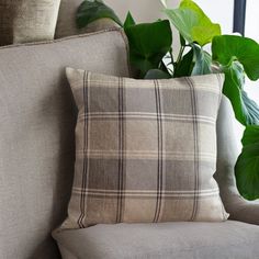 a close up of a pillow on a couch next to a potted plant with green leaves