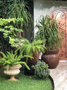 several potted plants are sitting on the ground in front of a door and fence