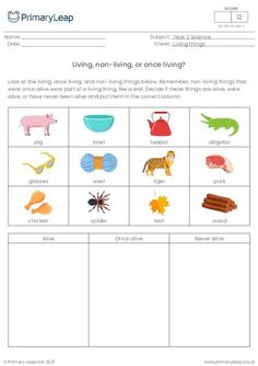 A science resource that shows living, once living, and non-living things. There is a table of three columns: Alive, Once alive, and Never alive. Pupils decide if the things are alive, were alive, or have never been alive and sort them into the correct column. Living And Not Living Things Worksheet, Living And Non Living Things Activity, Classifying Living Things, Living Things And Non Living Things, Needs Of Living Things Grade 1, Number Words Worksheets, Grade 3 Science, Teaching Math Strategies, 2nd Grade Math Worksheets