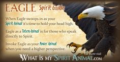 an eagle spirit guide with the words, what is my spirit animal and how to use it