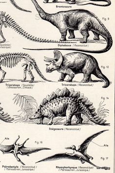 this is an image of dinosaurs and dinosaurs in their natural history, from the earliest to the present day