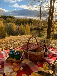 a picnic blanket on the ground with two bottles of wine and an empty wicker basket