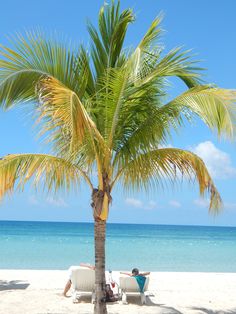 two people are sitting under a palm tree on the white sand beach with blue water in the background