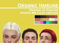 three different colored hair styles for the male and female avatars, each with their own color swatches