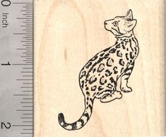 a rubber stamp with an image of a leopard