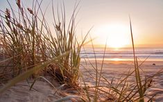 the sun is setting over the beach and grass