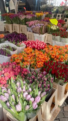 many different colored tulips are on display for sale