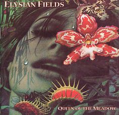 the cover to elyan fields'queen of the meadow, which features an image of a woman with flowers in her hair