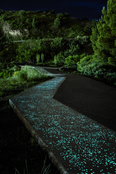 an empty road is lit up at night with blue stars on the pavement and trees in the background