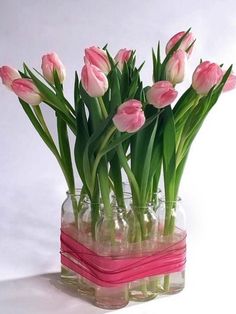 pink tulips in clear glass vase with ribbon