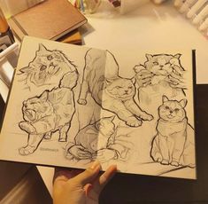 a person holding an open book with drawings of cats on it's cover and in front of them are colored pencils