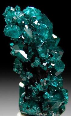 Bright Dioptase crystals that appear to be stalactitic in form but are actually overgrown on needle-like crystals of an unidentified brown mineral. Description from marinmineral.com. I searched for this on bing.com/images Alberto Giacometti, Mineral Collection