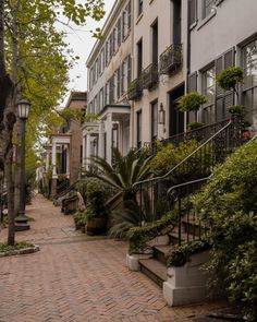 a cobblestone street lined with tall buildings and lots of greenery on both sides