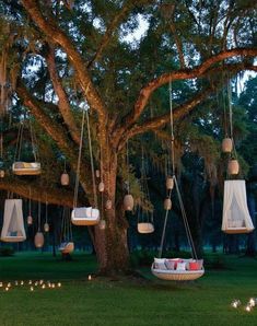 a tree filled with lots of hanging chairs next to a lush green park covered in lights