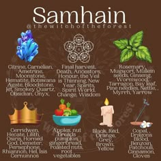 Celtic Samhain, Witchy Holidays, Wicca Holidays, Samhain Altar, Samhain Ritual, Wiccan Sabbats, Pagan Holidays, Samhain Halloween, Wiccan Spell Book