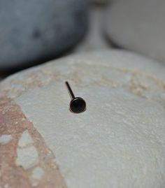 a small black object sitting on top of a rock