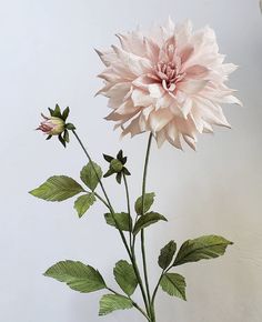 Door Displays, Paper Flowers Diy, Paper Roses, Flowers Diy, Diy Flowers, Beautiful Wallpapers, Dahlia