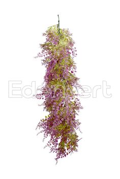 purple flowers hanging from the side of a white wall in front of a white background