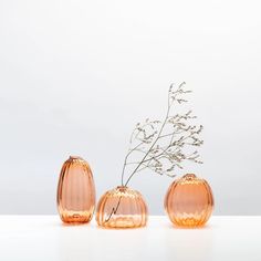 three glass vases with flowers in them on a white tableclothed surface against a plain background