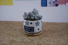 a small potted plant sitting on top of a counter