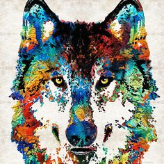 a wolf is shown with colorful paint splattered on it