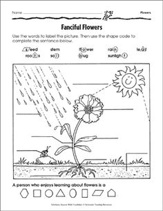 a flower that is in the ground and has rain coming from it, with words below