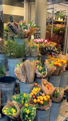 a bunch of flowers that are sitting in buckets on the ground near each other