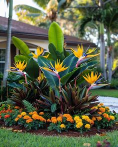 the flowers are blooming in the garden by the house