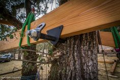 a tree is being worked on by an electric hand held to the side of a wooden plank