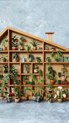 a house shaped shelf filled with potted plants