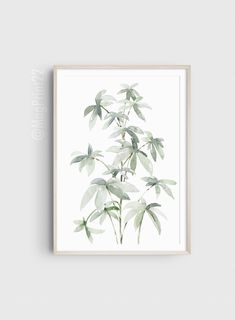 a white and green plant with leaves on it's stems is mounted in a wooden frame