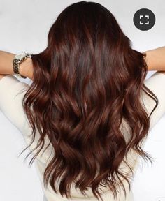 Dark Auburn Chocolate Hair, Red Tinged Brown Hair, Auburn Babylights On Brown Hair, Dark Brown Auburn Hair Balayage, Dark Auburn Hair Balayage, Dark Brown To Auburn Hair, Chocolate Brown Red Hair, Chocolate Red Brown Hair, Black Auburn Hair