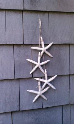 a white starfish hanging on the side of a house