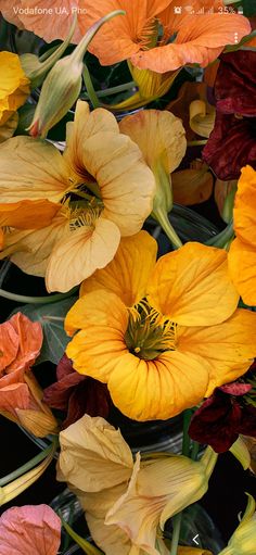 many different colored flowers are in a vase