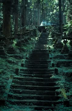 an old set of stairs in the middle of a forest