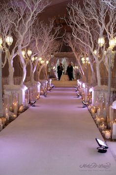 a long white aisle is lined with candles and trees