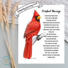 a red cardinal bird sitting on top of a piece of paper