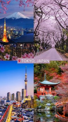 four different pictures with the words tokyo japan in japanese writing and images of cherry blossom trees