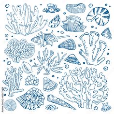 an ocean scene with sea animals and corals in blue ink, on white paper