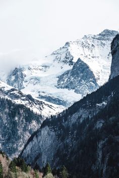 the mountains are covered in snow and trees