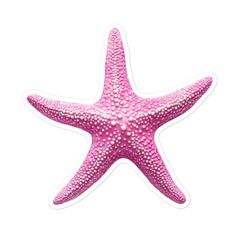 a pink starfish sticker on a white background