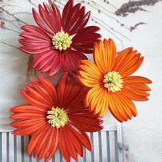 three orange and red flowers sitting on top of a bench