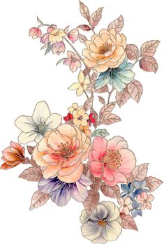 an artistic drawing of flowers with leaves and petals on a white background, in pastel colors