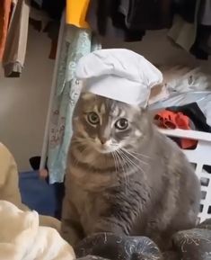 a cat wearing a chef's hat sitting on top of a pile of clothes