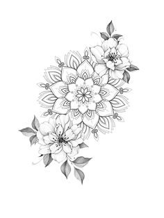 a black and white drawing of flowers with leaves on the bottom half of their petals