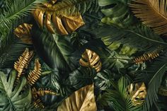 green and gold tropical leaves on a black background wallpaper mural by back to the wall