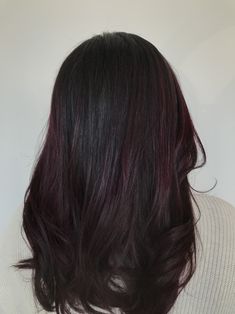 Black Hair With Plum Balayage, Black Hair With A Hint Of Red, Dark Brunette Hair With Burgundy, Dark Red Hair With Purple Undertones, Red Undertone Brunette, Black Hair With Tint Of Red, Dark Hair With Burgundy Undertones, Berry Black Hair, Dark Cherry Red Highlights In Black Hair