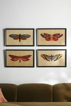 three framed butterfly prints hang on the wall above a couch